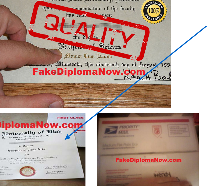 utah diploma being pointed on our samples page